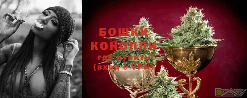 Где купить наркоту Екатеринбург Кодеин  МЕФ  Марихуана  Псилоцибиновые грибы 